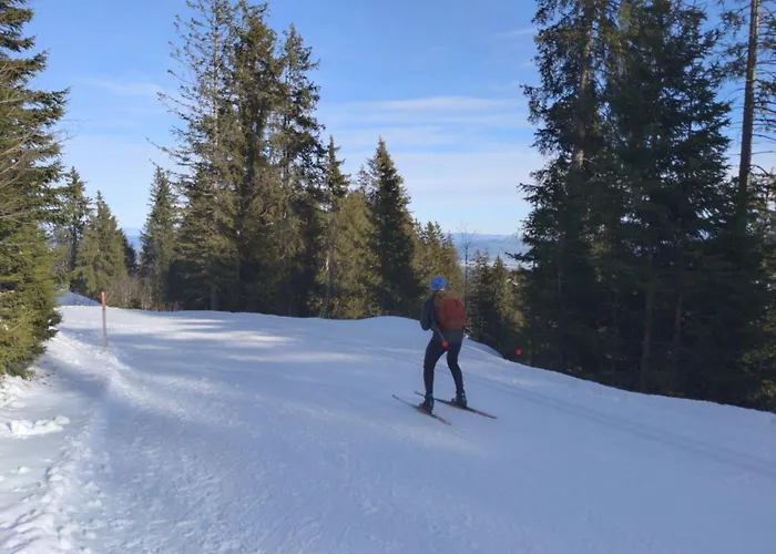 Suedhang By Interhome *